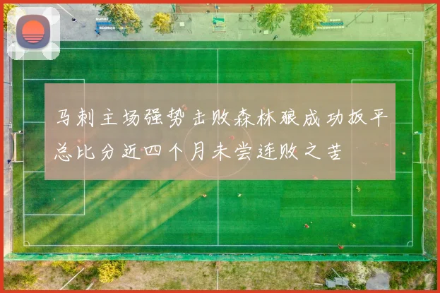 马刺主场强势击败森林狼成功扳平总比分近四个月未尝连败之苦