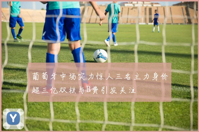 葡萄牙中场实力惊人三名主力身价超三亿双核与B费引发关注